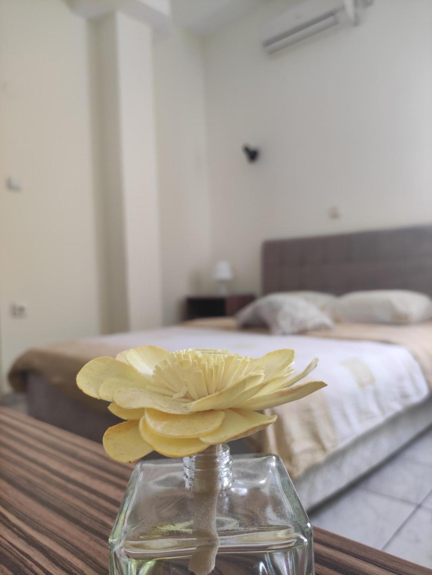 B&B Bebinac レスコヴァツ エクステリア 写真